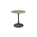 Café-Tisch ARIOSO mit laminierter Tischplatte