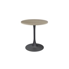 Café-Tisch ARIOSO mit laminierter Tischplatte