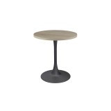 Café-Tisch ARIOSO mit laminierter Tischplatte