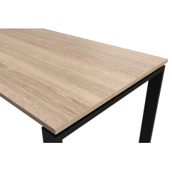 Konferenztisch GRANDE PLUS 240x120 cm