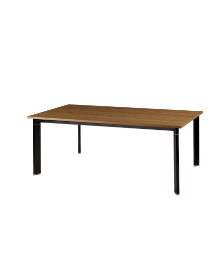 Tisch GRANDE 200x100 cm