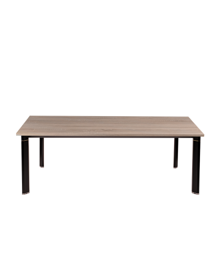 Tisch GRANDE 200x100 cm