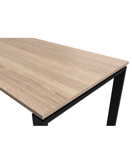 Tisch GRANDE 200x100 cm