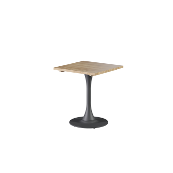 Tisch ARIOSO mit Holzplatte