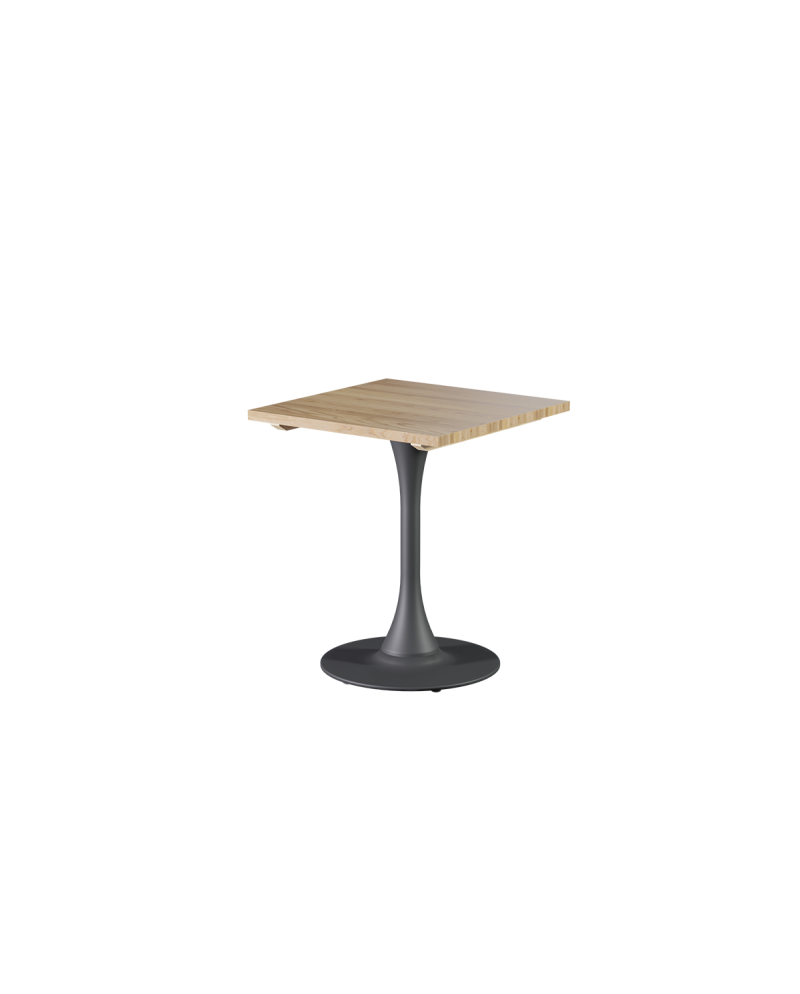 Tisch ARIOSO mit Holzplatte